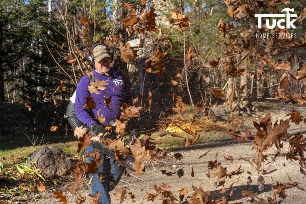 Late-Fall Lawn Care Checklist for a Healthy Spring Yard